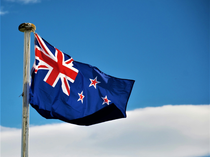 Government Capability Projects